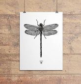 Oakdene Designs Prints 'Vintage Dragonfly Illustration' Print